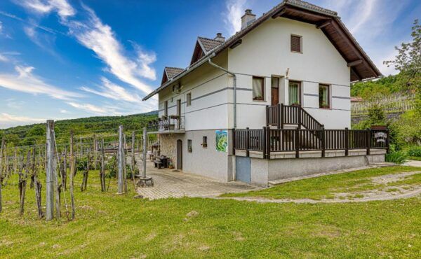 Vineyard Homestead Vrtin