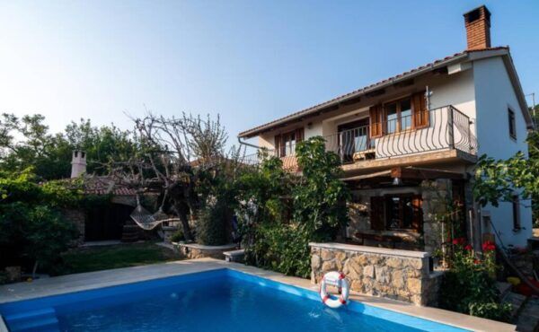 Etno Villa with a pool