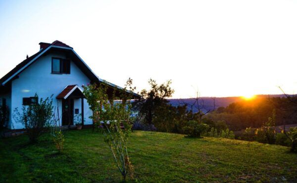 Papa Franks Wine House